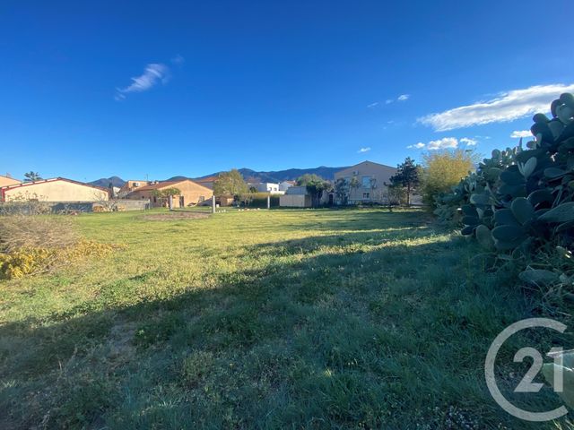 terrain à vendre - 2000.8 m2 - ARGELES SUR MER - 66 - LANGUEDOC-ROUSSILLON - Century 21 Côte Catalane Immobilier