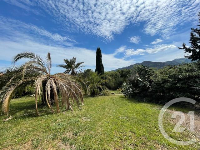 terrain à vendre - 2617.0 m2 - LAROQUE DES ALBERES - 66 - LANGUEDOC-ROUSSILLON - Century 21 Côte Catalane Immobilier