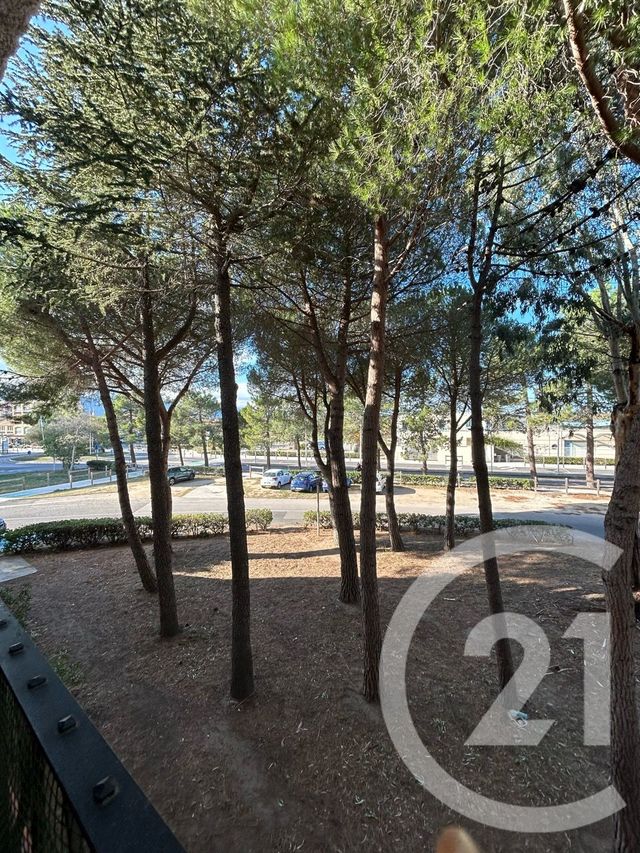 Afficher la photo en grand Appartement Studio cabine à vendre - 2 pièces - 25.36 m2 - ARGELES SUR MER - 66 - LANGUEDOC-ROUSSILLON - Century 21 Côte Catalane Immobilier