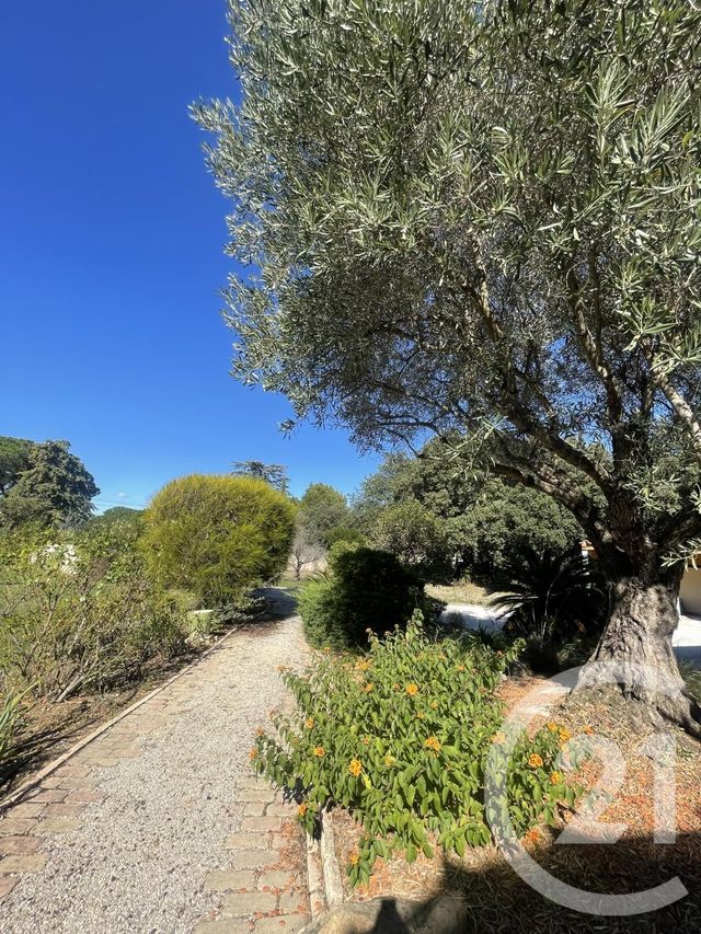 maison à louer - 4 pièces - 140.02 m2 - LAROQUE DES ALBERES - 66 - LANGUEDOC-ROUSSILLON - Century 21 Côte Catalane Immobilier