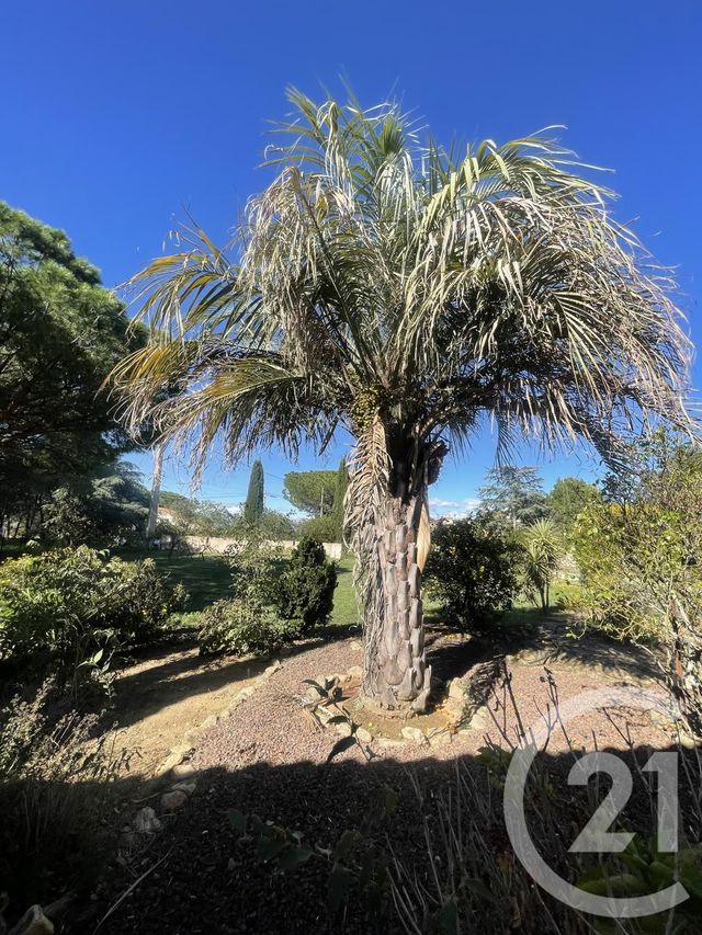 maison à louer - 4 pièces - 140.02 m2 - LAROQUE DES ALBERES - 66 - LANGUEDOC-ROUSSILLON - Century 21 Côte Catalane Immobilier