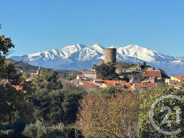 maison à vendre - 5 pièces - 181.25 m2 - LAROQUE DES ALBERES - 66 - LANGUEDOC-ROUSSILLON - Century 21 Côte Catalane Immobilier