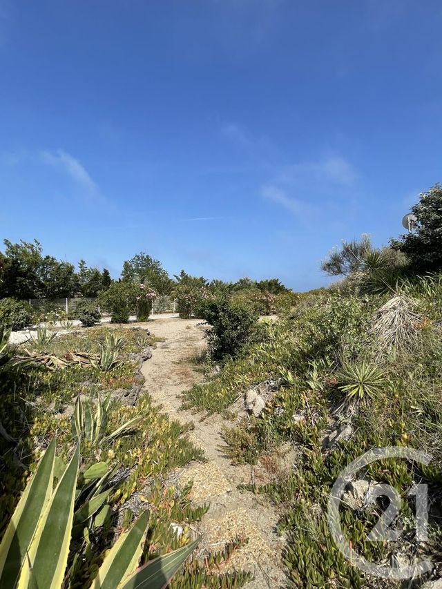 maison à louer - 3 pièces - 50.0 m2 - TORREILLES - 66 - LANGUEDOC-ROUSSILLON - Century 21 Côte Catalane Immobilier