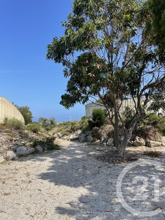 maison à louer - 3 pièces - 50.0 m2 - TORREILLES - 66 - LANGUEDOC-ROUSSILLON - Century 21 Côte Catalane Immobilier