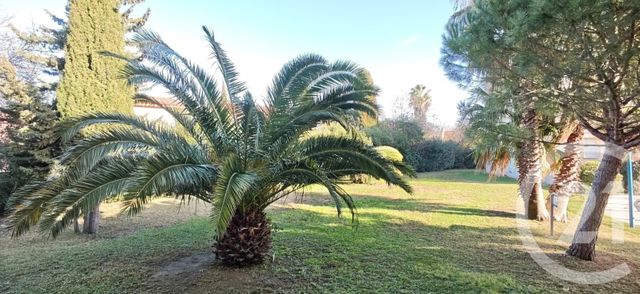 Appartement T2 à vendre - 2 pièces - 46.55 m2 - ARGELES SUR MER - 66 - LANGUEDOC-ROUSSILLON - Century 21 Côte Catalane Immobilier