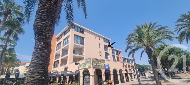 appartement - ARGELES SUR MER - 66
