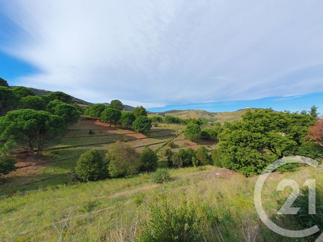 maison à vendre - 6 pièces - 124.49 m2 - PORT VENDRES - 66 - LANGUEDOC-ROUSSILLON - Century 21 Côte Catalane Immobilier