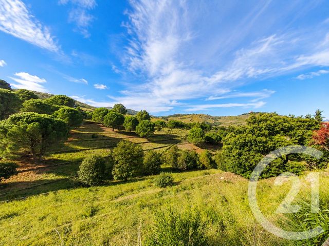 maison à vendre - 6 pièces - 124.49 m2 - PORT VENDRES - 66 - LANGUEDOC-ROUSSILLON - Century 21 Côte Catalane Immobilier