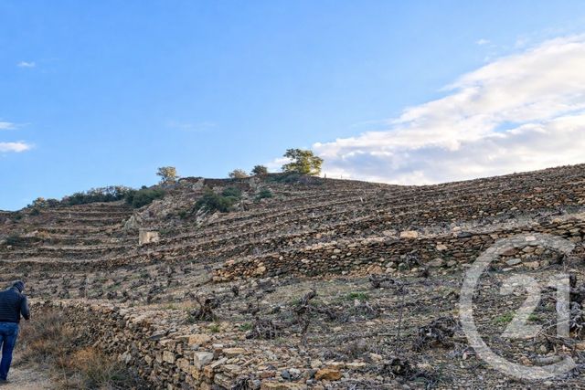 Terrain à vendre COLLIOURE