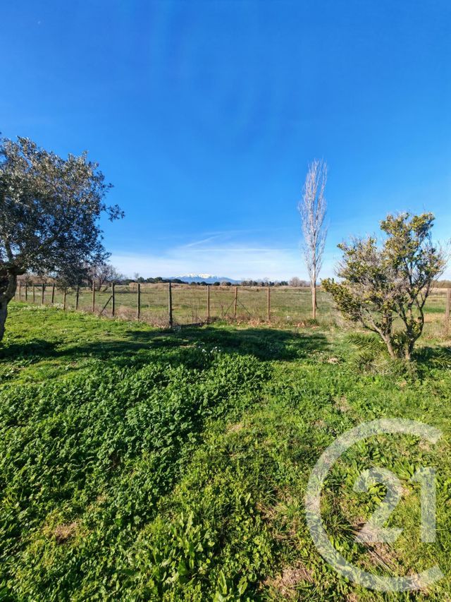 maison à louer - 4 pièces - 96.7 m2 - ST CYPRIEN - 66 - LANGUEDOC-ROUSSILLON - Century 21 Côte Catalane Immobilier