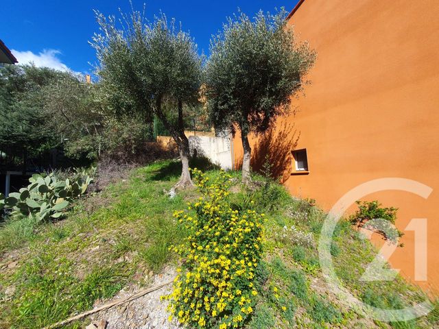 maison à vendre - 6 pièces - 191.79 m2 - COLLIOURE - 66 - LANGUEDOC-ROUSSILLON - Century 21 Côte Catalane Immobilier