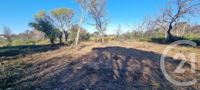 terrain à vendre - 1166.0 m2 - ST ANDRE - 66 - LANGUEDOC-ROUSSILLON - Century 21 Côte Catalane Immobilier