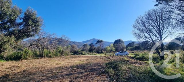 terrain à vendre - 1166.0 m2 - ST ANDRE - 66 - LANGUEDOC-ROUSSILLON - Century 21 Côte Catalane Immobilier