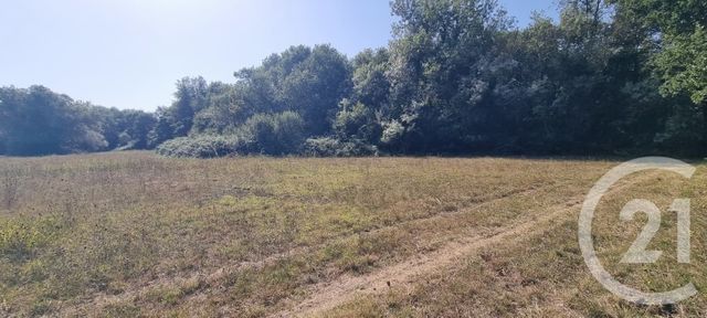 terrain à vendre - 6305.0 m2 - ARGELES SUR MER - 66 - LANGUEDOC-ROUSSILLON - Century 21 Côte Catalane Immobilier