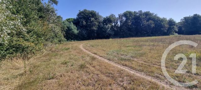 terrain à vendre - 6305.0 m2 - ARGELES SUR MER - 66 - LANGUEDOC-ROUSSILLON - Century 21 Côte Catalane Immobilier